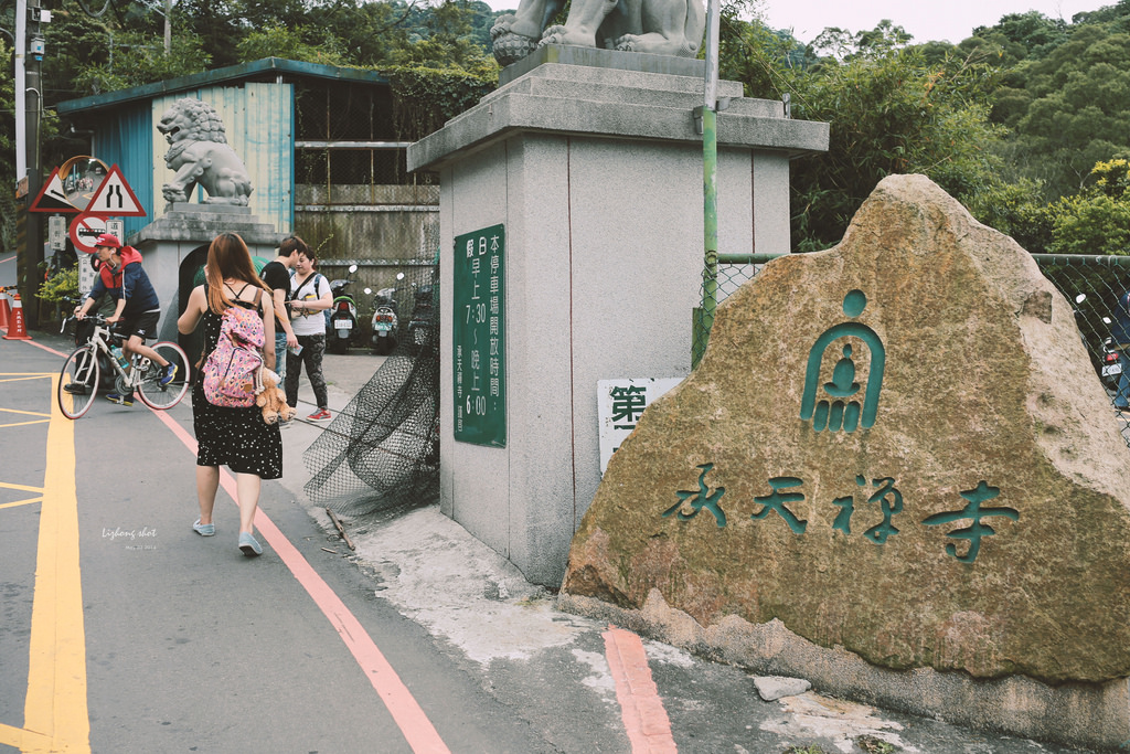 這淡淡的詩意襲上之桐花公園