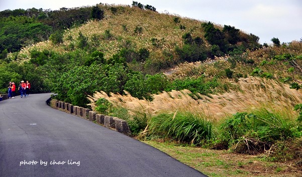 秀才步道-6.JPG - 2016秋之豔