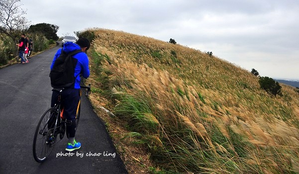 秀才步道-17.JPG - 2016秋之豔