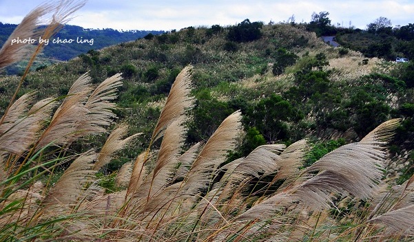 秀才步道-8.JPG - 2016秋之豔