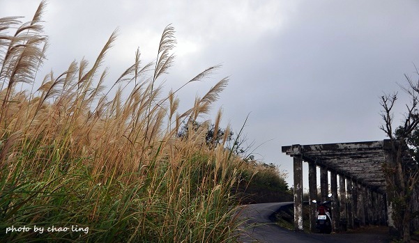 秀才步道-33.JPG - 2016秋之豔