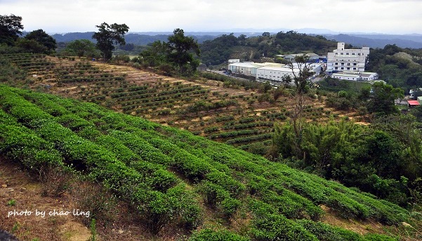 秀才步道-2.JPG - 2016秋之豔