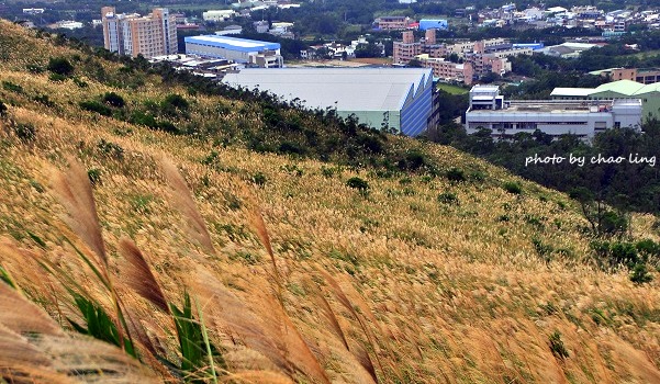 秀才步道-1.JPG - 2016秋之豔