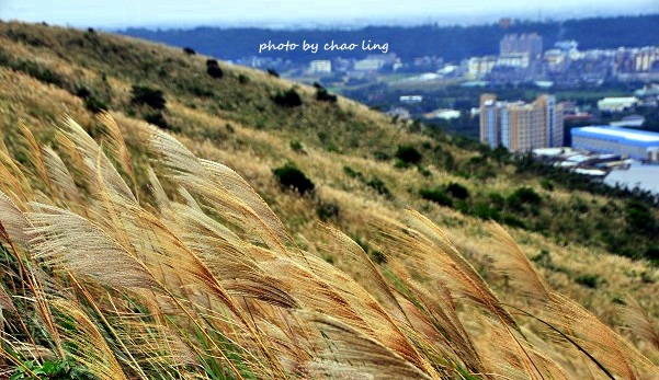 秀才步道-14.JPG - 2016秋之豔