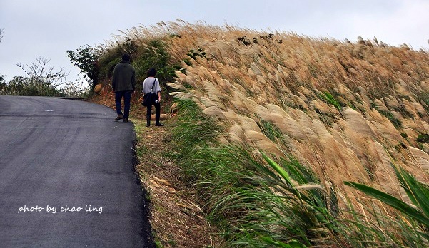 秀才步道-18.JPG - 2016秋之豔