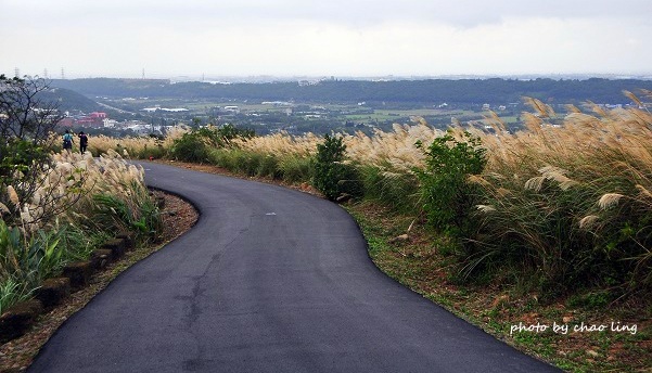 秀才步道-30.JPG - 2016秋之豔