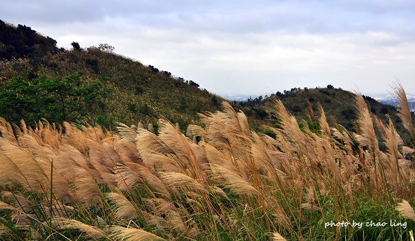 秀才步道-9.JPG - 2016秋之豔