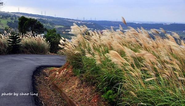 秀才步道-26.JPG - 2016秋之豔