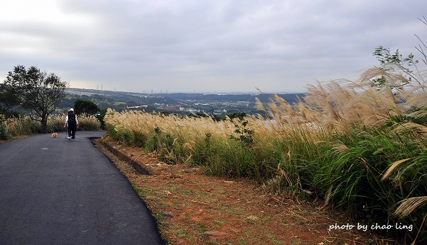 秀才步道-23.JPG - 2016秋之豔