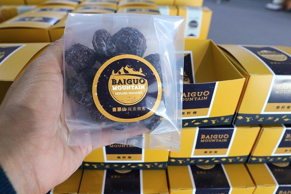 百果山探索樂園：【彰化景點】百果山探索樂園恐龍出沒~騎乘恐龍坐騎/占地8000坪/梁龍溜滑梯/三角龍攀岩/大暴龍恐攻/9D虛擬實境體驗館