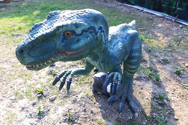 百果山探索樂園：【彰化景點】百果山探索樂園恐龍出沒~騎乘恐龍坐騎/占地8000坪/梁龍溜滑梯/三角龍攀岩/大暴龍恐攻/9D虛擬實境體驗館