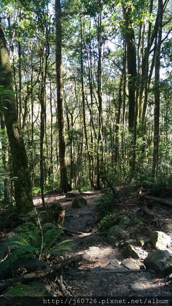 鳶嘴山_161217_0007 - 複製.jpg