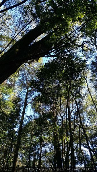 鳶嘴山_161217_0008 - 複製.jpg