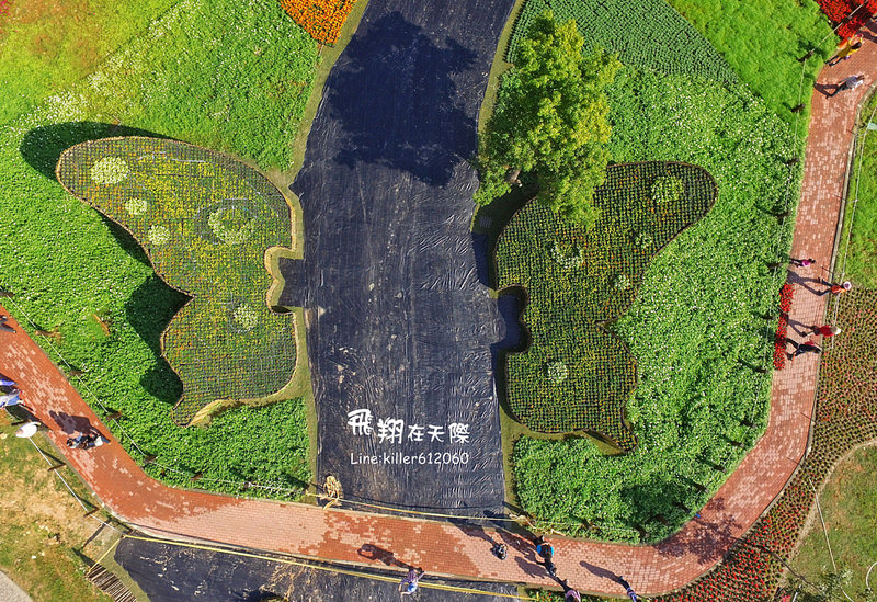 PhotoGrid_1482071730952