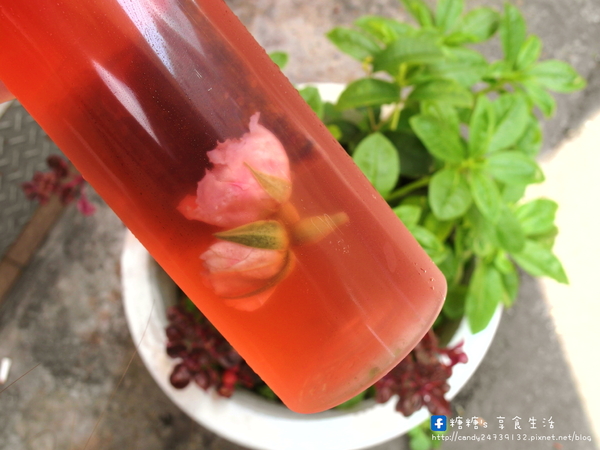 MA JUICE：〖台中│美食〗MA.JUICE 白乾這兒飲 ❤ 盛夏飲品新鮮上市!!以白甘蔗汁為基底，搭配百香果、檸檬、蘆薈、梅子等口味，清涼又消暑!!