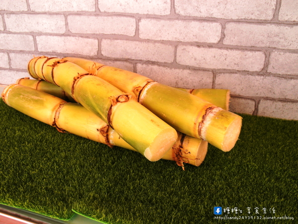 MA JUICE：〖台中│美食〗MA.JUICE 白乾這兒飲 ❤ 盛夏飲品新鮮上市!!以白甘蔗汁為基底，搭配百香果、檸檬、蘆薈、梅子等口味，清涼又消暑!!