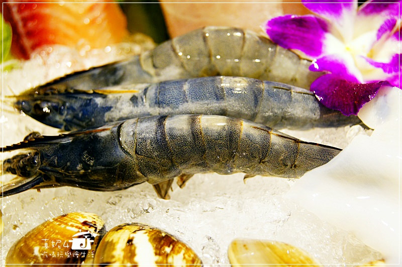 捷運美食-萬隆站 火鍋哥