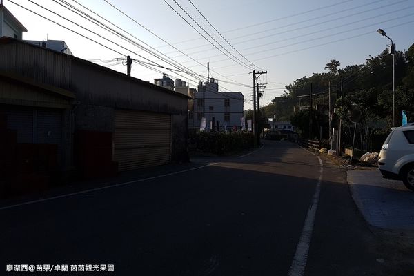 【苗栗/卓蘭】茵茵觀光果園