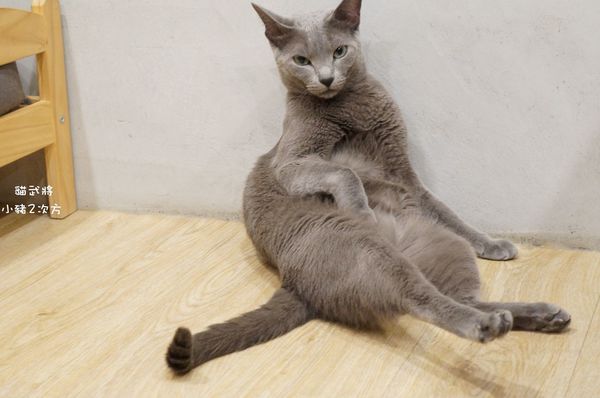 1025 貓武將二訪_2073_结果.jpg
