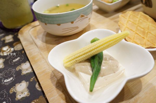 1025 貓武將二訪_6725_结果.jpg