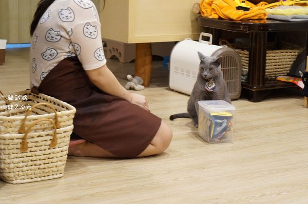 1025 貓武將二訪_6160_结果.jpg