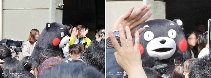 DSCN4757-tile (1600x596)