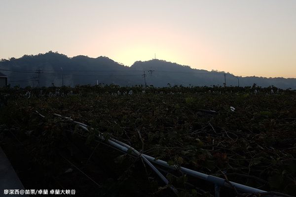 【苗栗/卓蘭】卓蘭大峽谷