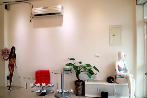 蔡慎美胸(嘉義忠孝店)：美體►嘉義東區┃蔡慎美胸┃蔡慎國際美胸SPA，嘉義忠孝店！