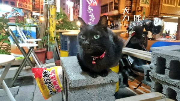 16-12-24-15-35-58-941_deco