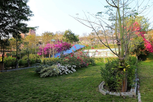 米田貢：【南投景點】埔里親子旅遊新景點米田貢~免門票入園/搭乘鐵道小火車/木製溜滑梯和沙坑/免費試吃整顆的米製水果酥