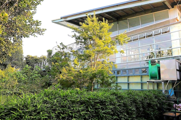 米田貢：【南投景點】埔里親子旅遊新景點米田貢~免門票入園/搭乘鐵道小火車/木製溜滑梯和沙坑/免費試吃整顆的米製水果酥