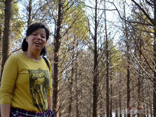 落羽松森林14-老婆真的非常開心