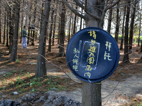 落羽松森林03-私人種植請勿進入