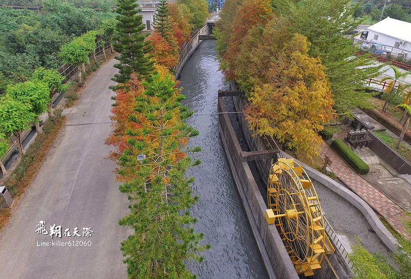 雲林落羽松空拍2 013