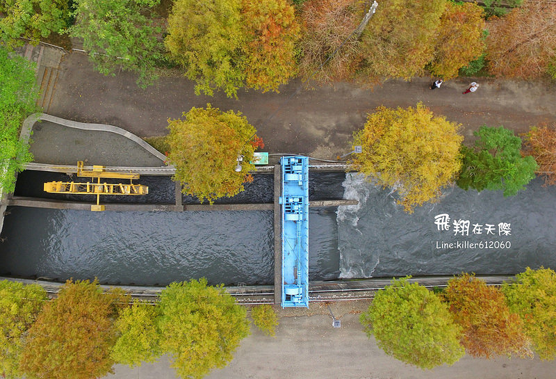 雲林落羽松空拍2 024