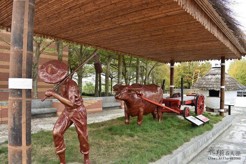 雲林落羽松空拍1 004