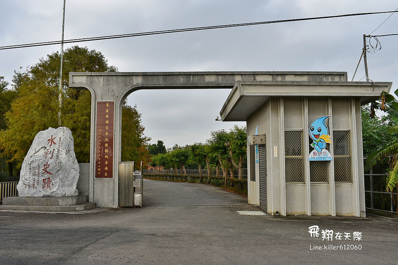 雲林落羽松空拍1 009