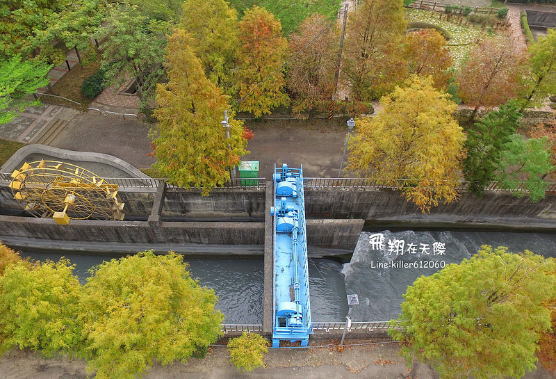 雲林落羽松空拍2 004