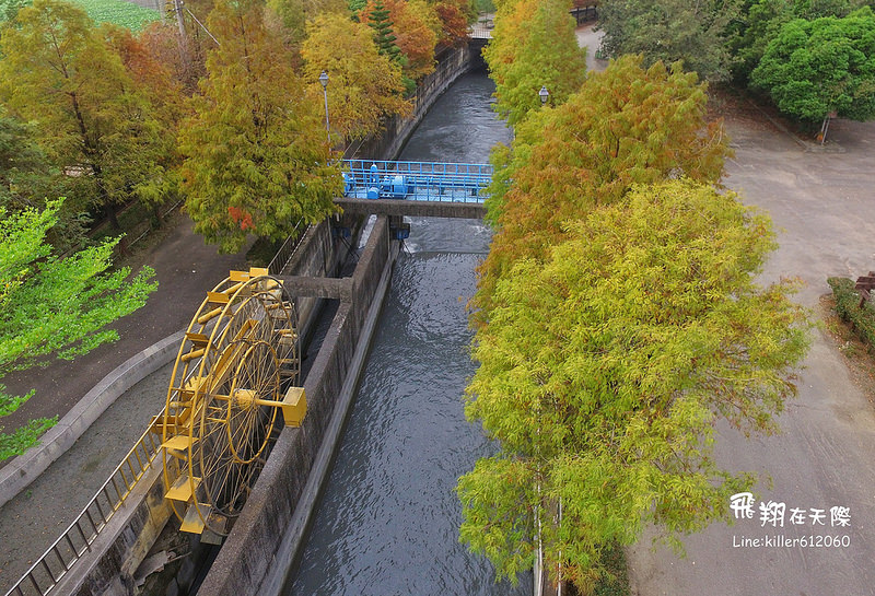 雲林落羽松空拍2 005