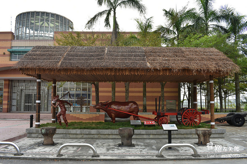 雲林落羽松空拍1 006