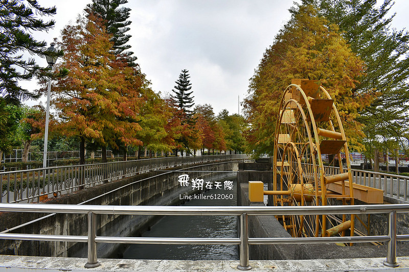 雲林落羽松空拍1 001