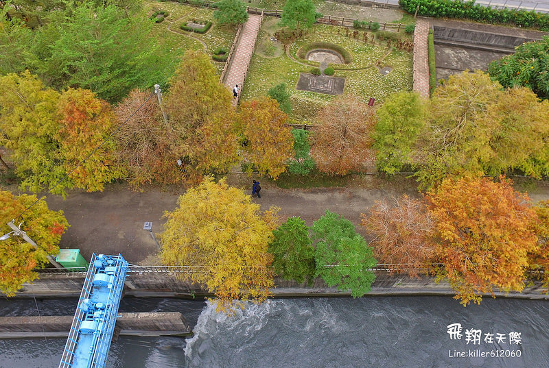 雲林落羽松空拍2 025