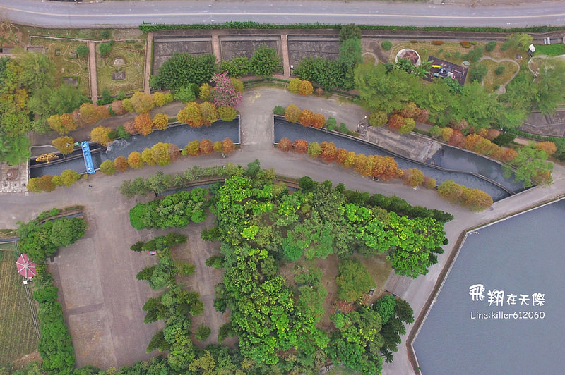 雲林落羽松空拍2 019
