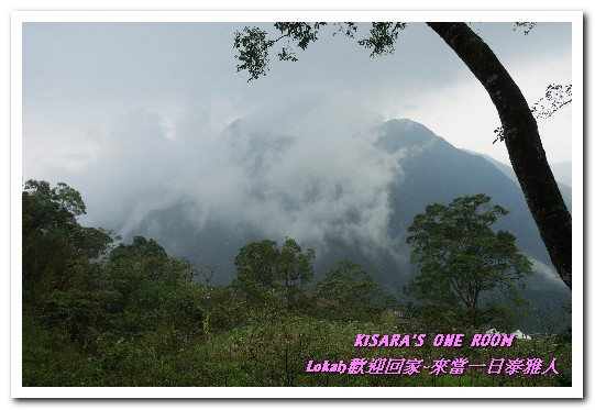 葛思悠農場:新北悠遊趣.烏來旅遊/泰雅原住民部落文化之旅──Lokah歡迎回家.2葛思悠農場