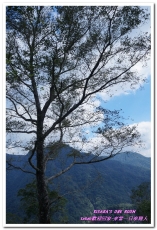 葛思悠農場:新北悠遊趣.烏來旅遊/泰雅原住民部落文化之旅──Lokah歡迎回家.2葛思悠農場