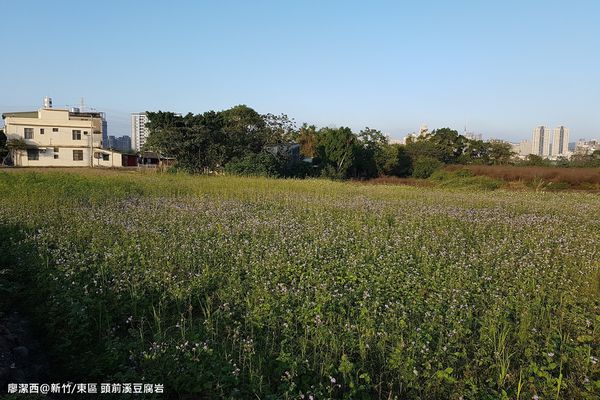 【新竹/東區】頭前溪豆腐岩