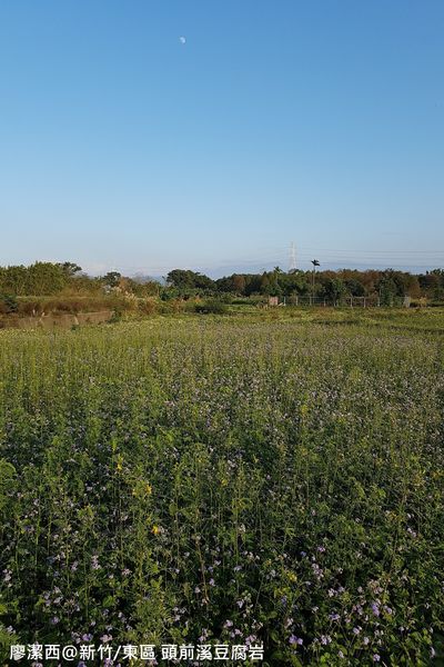 【新竹/東區】頭前溪豆腐岩