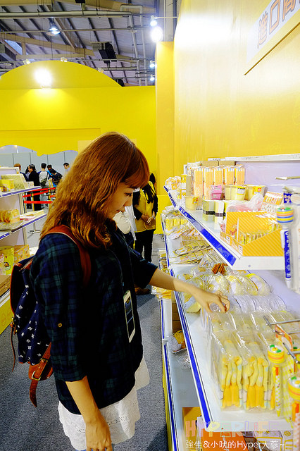 台中蛋黃哥展覽2016-2017