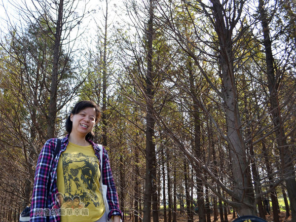 落羽松森林04-雖然不能進入但老婆還是很開心
