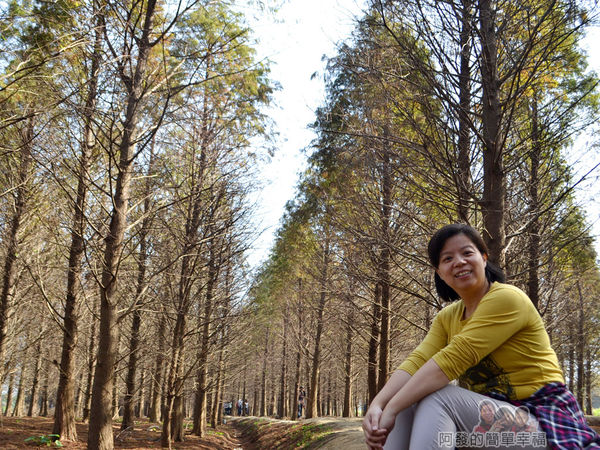 落羽松森林10-很開心的老婆